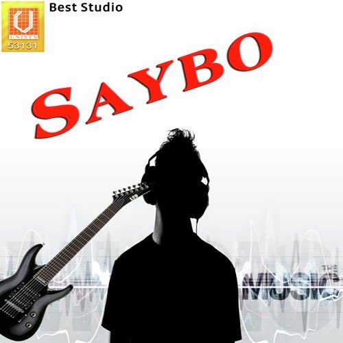 Saybo Aayo Re by Devika Thakor - Download on PagalFree