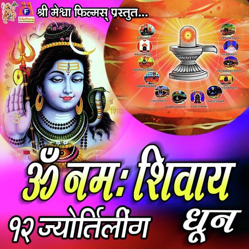 Om Namah Shivay by Saloni Thakor - Download on PagalFree