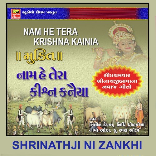 Naam Hai Tera Krishna Kaniya by Nidhi Dhodkiya - Download on PagalFree