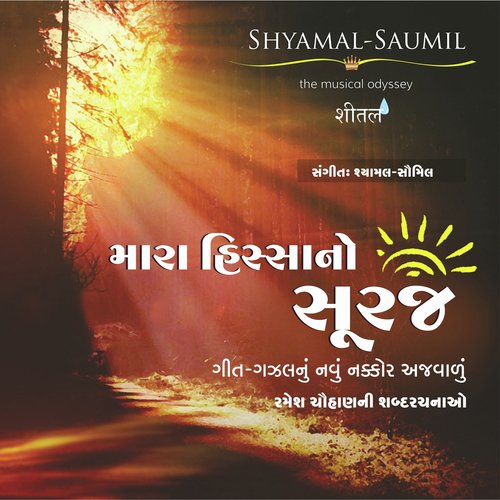Na Rahevun Aa Nagar Ma by Shyamal Saumil - Download on PagalFree