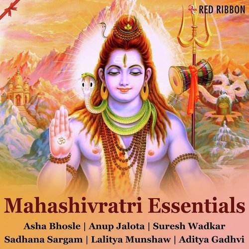 Dhyanam Shlok by Various Artists - Download on PagalFree