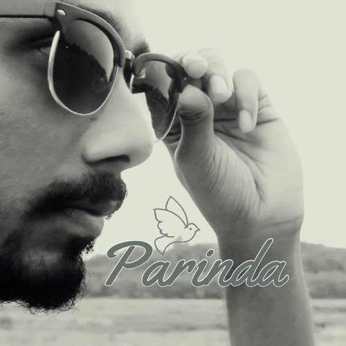 Parinda by Sairaj Ghadge, Vocalbox Records - Download on PagalFree