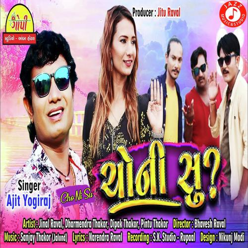 Cho Ni Su by Lalu Raval, Mukesh Yogiraj, Lalu Raval, Ajit Yogiraj - Download on PagalFree