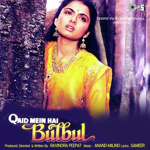 Kitna Lamba Bijli Ka Khamba by Anand-Milind - Download on PagalFree