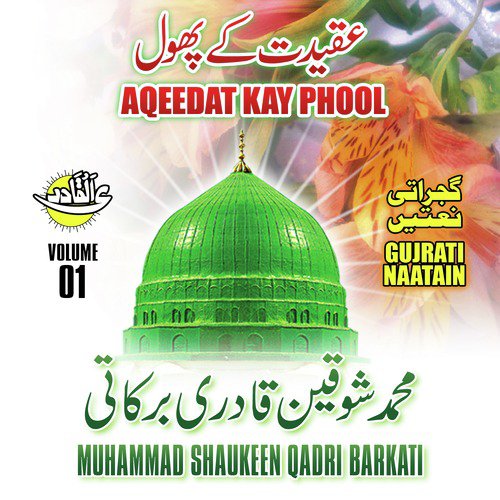 Ubho Chay Bar Nay Sawali by Muhammad Shaukeen Qadri Barkati - Download on PagalFree