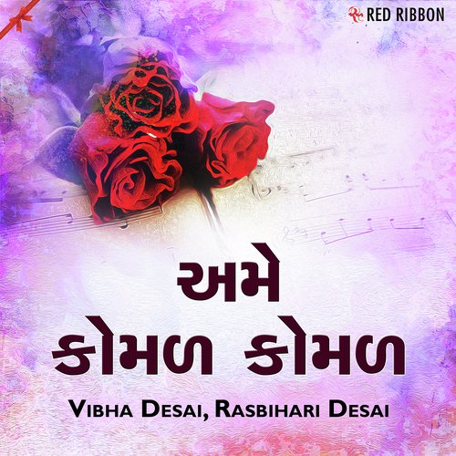 Aansu Ne Pee Gayo by Vibha Desai, Rasbihari Desai - Download on PagalFree