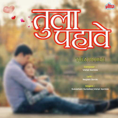 Tula Pahave by Sukeshani Suradkar, Vishal Kamble - Download on PagalFree