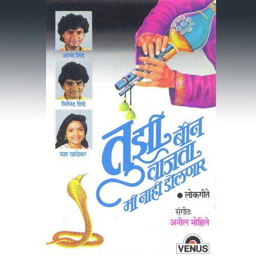 Mumbaichi Vasti by Anil Mohile - Download on PagalFree