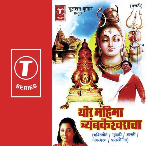Om Nama Shivay by Anuradha Paudwal, Bhushan Dua - Download on PagalFree