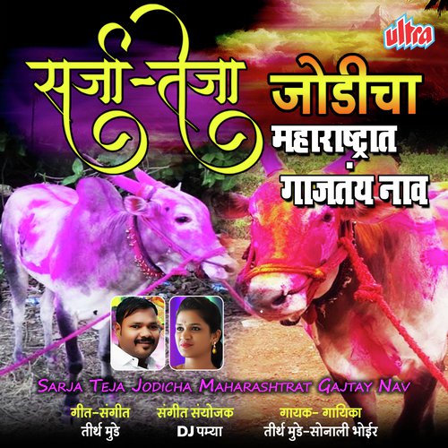Sarja Teja Jodicha Maharashtrat Gajtay Naav by Teerth Munde, Sonali Bhoir - Download on PagalFree
