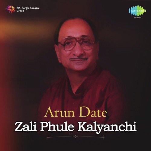 Too Ashi Javali Raha by Mangesh Padgaonkar, Arun Date, Sudha Malhotra - Download on PagalFree