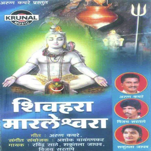 Om Jay Shivshambhu Hare by Various Artists - Download on PagalFree