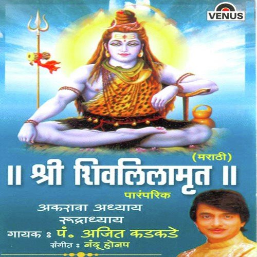 Om Namah Shivaya - Naamsmaran by Pandit Ajit Kadkade, Nandu Honap - Download on PagalFree