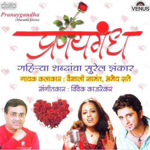 Swapnat Tari Tu Yet Raha by Vivek Kajarekar - Download on PagalFree