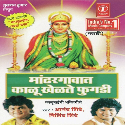 Aai Chapyachya Jhadavar by Vilas Joglekar - Download on PagalFree