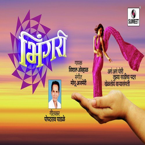 DJ Bhingari by Vishal Ovhal - Download on PagalFree