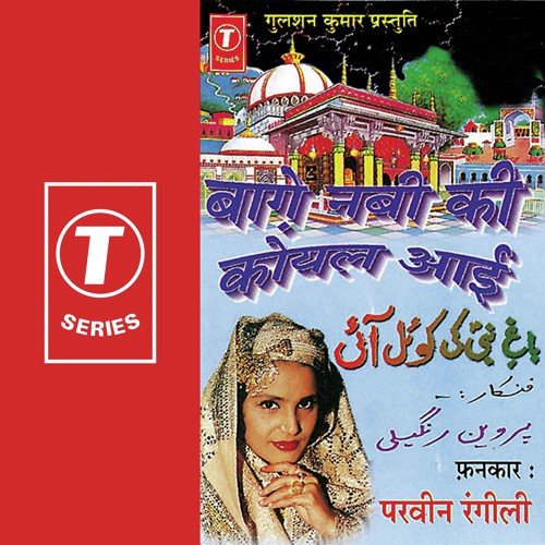 Tere Dar Ke Hai Sawaali by Parveen Rangili - Download on PagalFree