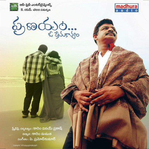 Seethamma Petalo by Akhila, Madhu, Sunitha, Sekhar, Karem Mamatha, V .S. N. Murthy, Karem Mamatha, Sekhar, Madhu, Sunith - Download on PagalFree