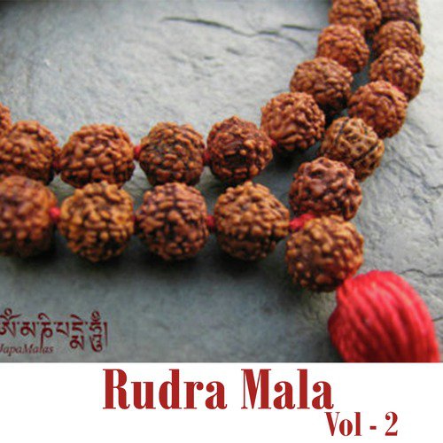 Vaidsarshivstava by Sanjay Vidyarthi, Amlesh Shukla - Download on PagalFree