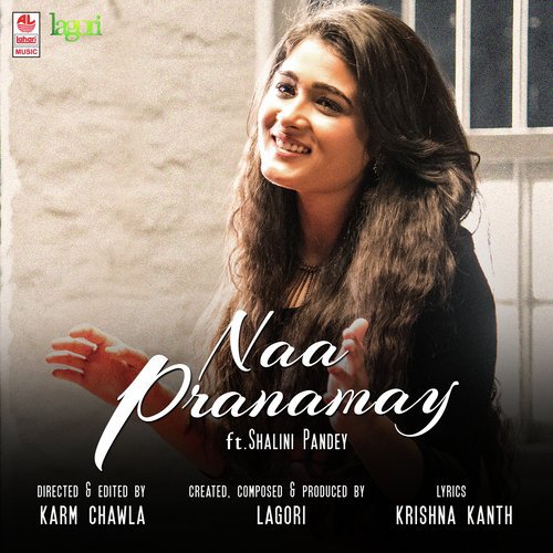 Naa Pranamay by Anup Rubens, Anurag Kulkarni - Download on PagalFree