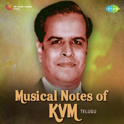 Chali Vesthundi (From Soggadu) by Various Artists - Download on PagalFree