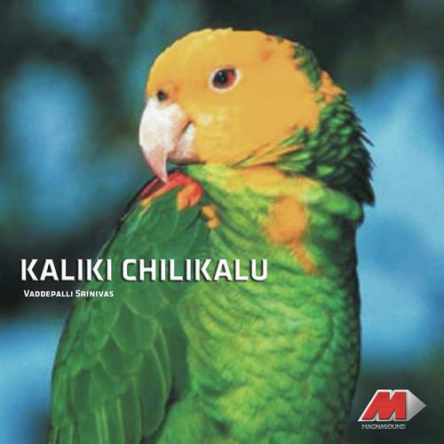 Nethineneeda Nelavanka by Vaddepalli Srinivas - Download on PagalFree