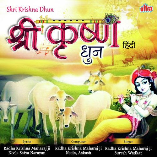 Radhe Krishna Radhe Krishna by Gul Saxena - Download on PagalFree