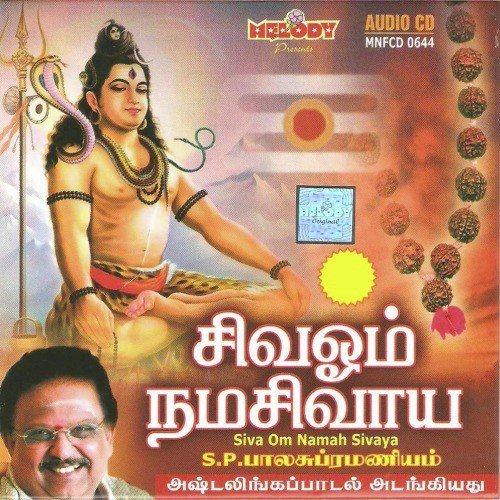 Siva Om Namah Sivayae by Mahanadhi Shobana - Download on PagalFree