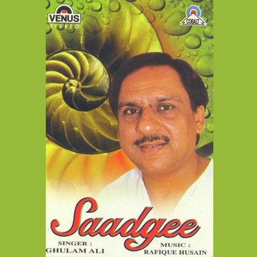 Ye Faasla Jo by Ghulam Ali, Rafique Husain - Download on PagalFree