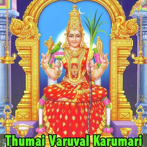 Thunai Varuvai Karumari by L. R. Eswari - Download on PagalFree
