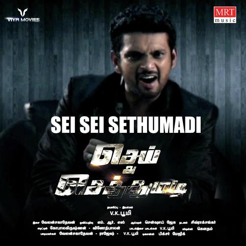 Sei Sei Sethumadi by V.K.Bhoomi - Download on PagalFree