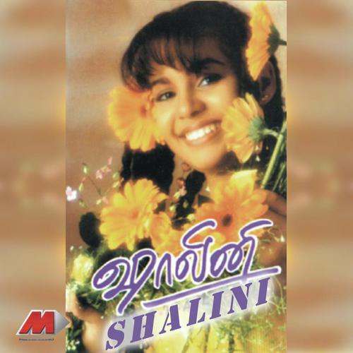 Hey Auto by Pop Shalini - Download on PagalFree