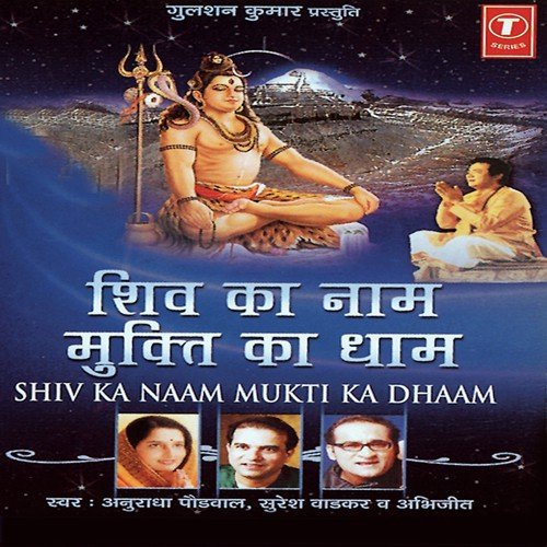 Om Namah Shivay by Chandra Prakash, Surya Prakash - Download on PagalFree