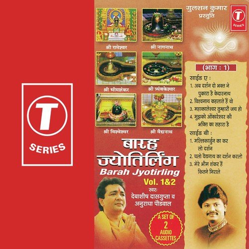Vishwanath Kehlate Hain Wo by Anuradha Paudwal, Debashish Dasgupta, Bhushan Dua - Download on PagalFree