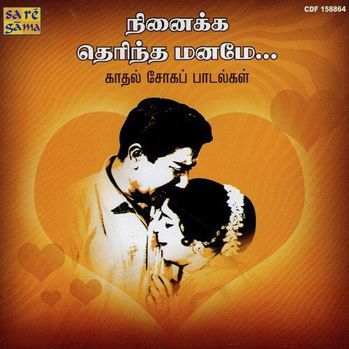 Ennai Marandhadhaen by Various Artists - Download on PagalFree