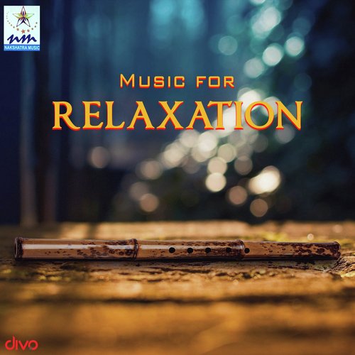 Relaxation Instrumental by U. Pramod, Nandu Gopalan, Thyagaraju, Praveen Mohan - Download on PagalFree
