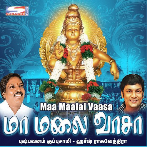 Pambayaru Thandiye by Pushpavanam Kuppusamy, Harish Raghavendra - Download on PagalFree