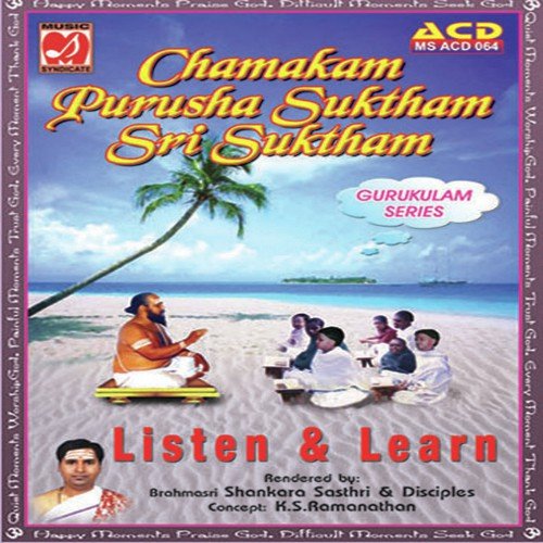 Sri Suktham by Sri Brahmasri Sankara Sasthri - Download on PagalFree