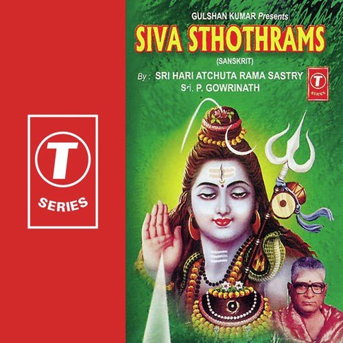 Sharanu Sharanu Shiv Shankara (Solo) by P. Gowrinath, Bhushan Dua, Sri Hari Atchuta Rama Sastry - Download on PagalFree