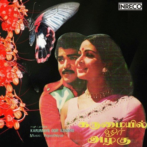 Thooya Mariyae by Vani Jayaram, T.L. Maharajan, P. Jayachandran - Download on PagalFree