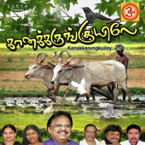 Moongil Maram by S. P. Balasubrahmanyam, Manikka Vinayagam, Malathi, Anuradha Sriram - Download on PagalFree