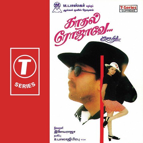 Sinna Vennila by Ilaiyaraaja - Download on PagalFree