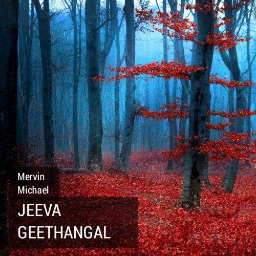 Vaanathil Thontridum by Mervin Michael - Download on PagalFree
