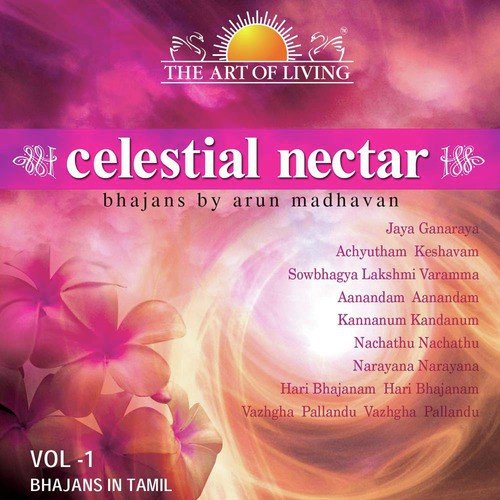 Sowbhagya Lakshmi by Arun Madhavan - Download on PagalFree