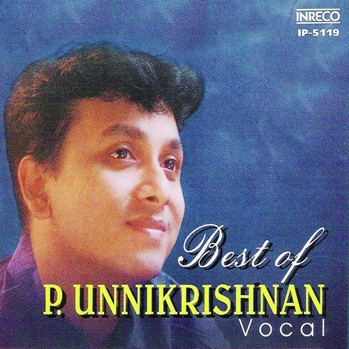 Thunai Purindarul - Varamu - Adi by P. Unnikrishnan - Download on PagalFree