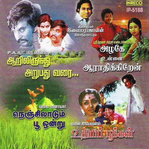 Kalyanam Paaru (From Uthiripookkal) by Ilaiyaraaja - Download on PagalFree