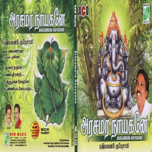 Arumugan Sodharane by Pushpavanam Kuppusamy - Download on PagalFree