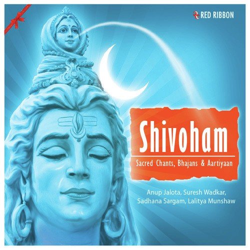 Om Namah Shivay by Various Artists - Download on PagalFree