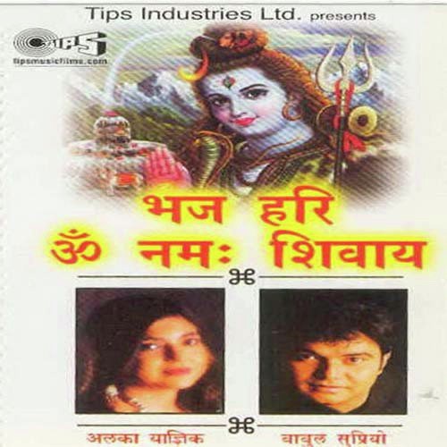 Om Namah Shivay Bhajan by Alka Yagnik, Babul Supriyo, Sandesh Shandilya - Download on PagalFree