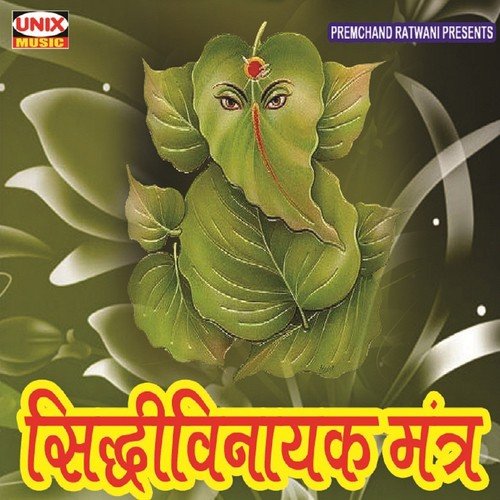 Siddhi Vinayak Mantra, Pt. 2 by Rajesh Dubey, Rajesh Mishra - Download on PagalFree